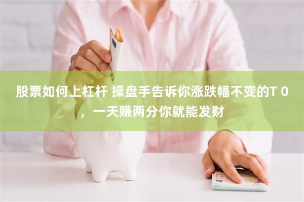 股票如何上杠杆 操盘手告诉你涨跌幅不变的T 0，一天赚两分你就能发财