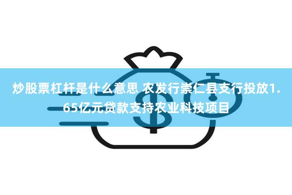 炒股票杠杆是什么意思 农发行崇仁县支行投放1.65亿元贷款支持农业科技项目