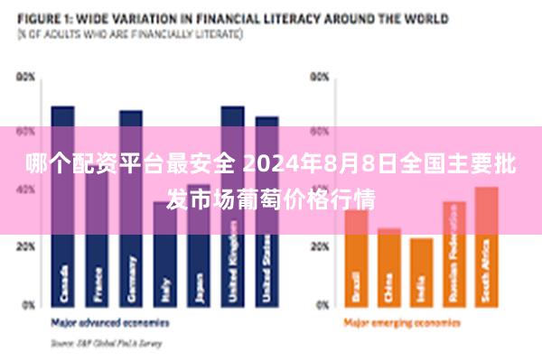 哪个配资平台最安全 2024年8月8日全国主要批发市场葡萄价格行情