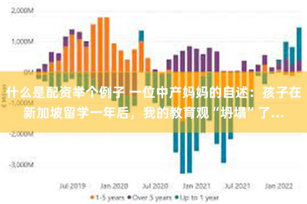 什么是配资举个例子 一位中产妈妈的自述：孩子在新加坡留学一年后，我的教育观“坍塌”了...