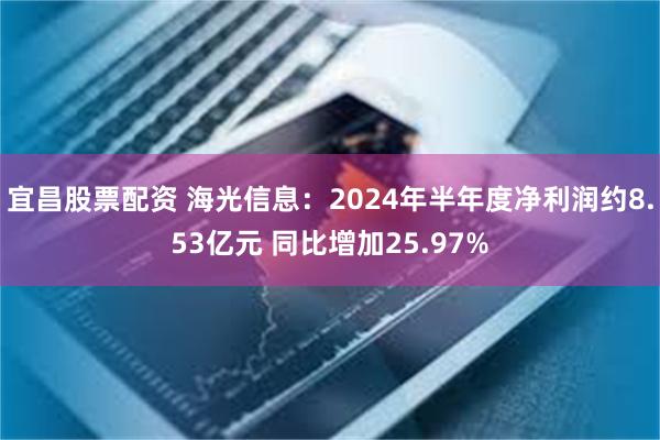 宜昌股票配资 海光信息：2024年半年度净利润约8.53亿元 同比增加25.97%