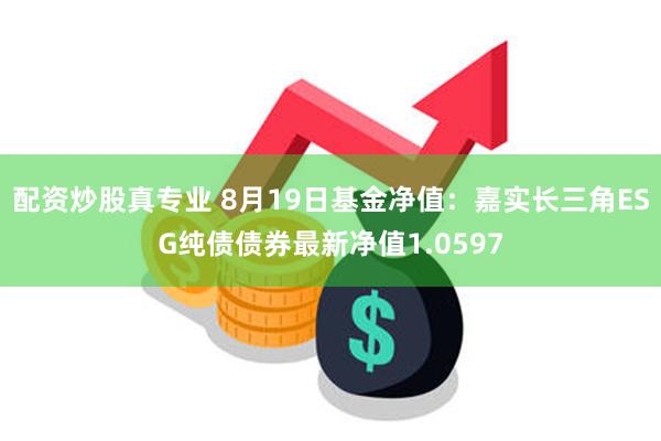 配资炒股真专业 8月19日基金净值：嘉实长三角ESG纯债债券最新净值1.0597