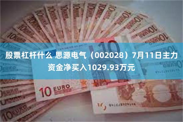 股票杠杆什么 思源电气（002028）7月11日主力资金净买入1029.93万元