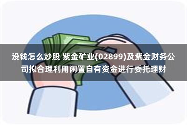 没钱怎么炒股 紫金矿业(02899)及紫金财务公司拟合理利用闲置自有资金进行委托理财