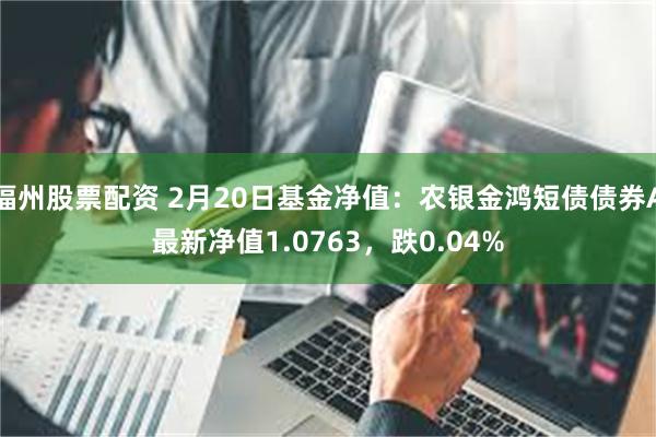 福州股票配资 2月20日基金净值：农银金鸿短债债券A最新净值1.0763，跌0.04%